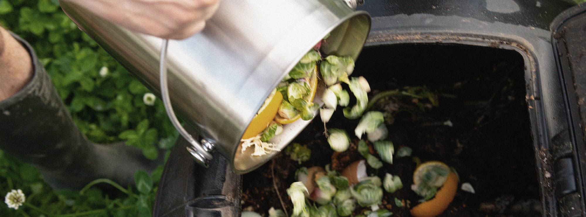 Pouring food scraps into a composter