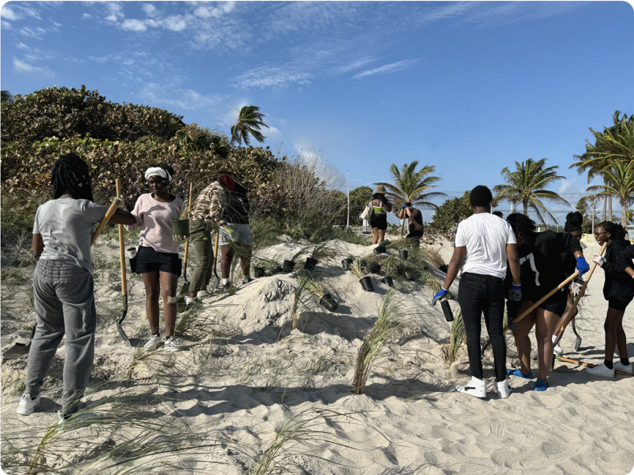 Group of people planting palm trees on the beach.